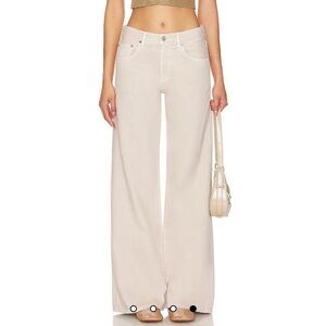 NWT AGOLDE | Low Slung Baggy